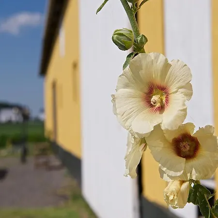 Bed & Breakfast Myregaard And 3*