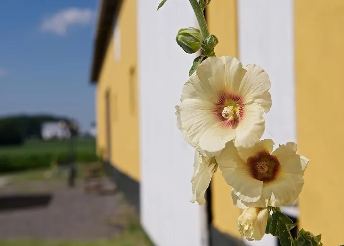 Bed & Breakfast Myregaard And 3*