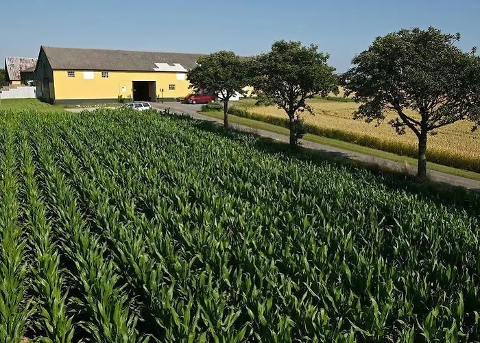 Myregaard And 3* Snogebæk